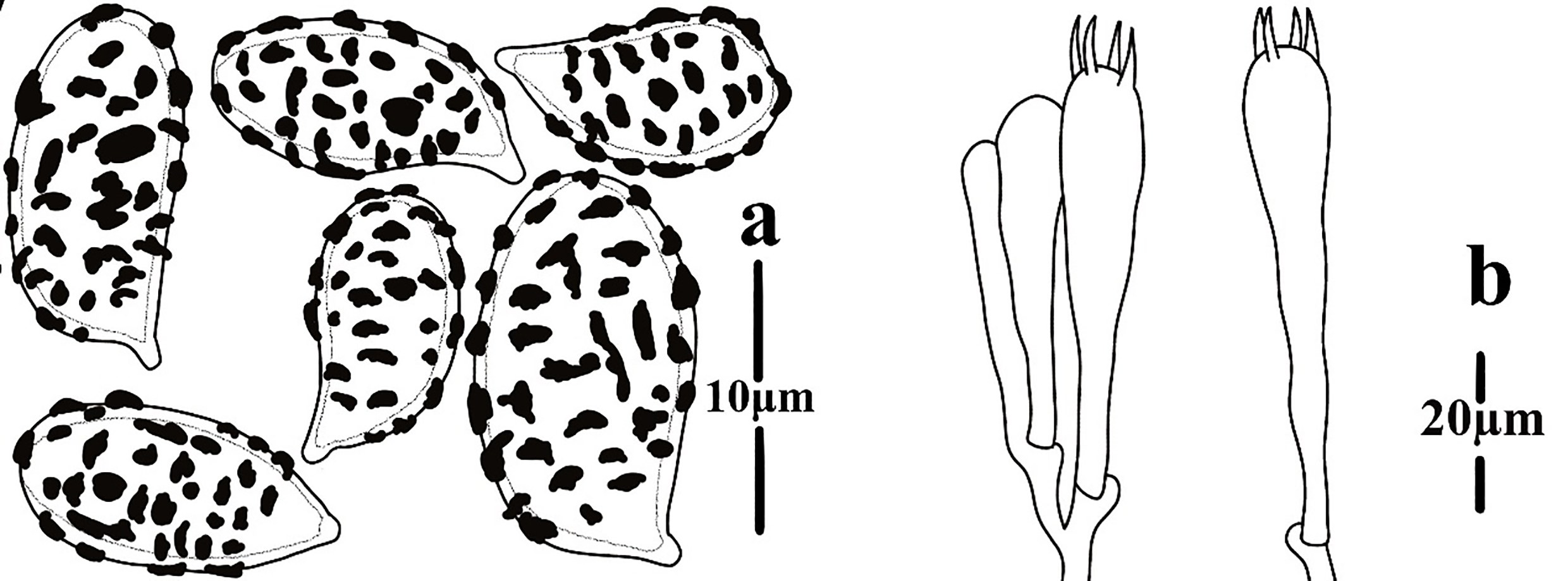 Figure 132